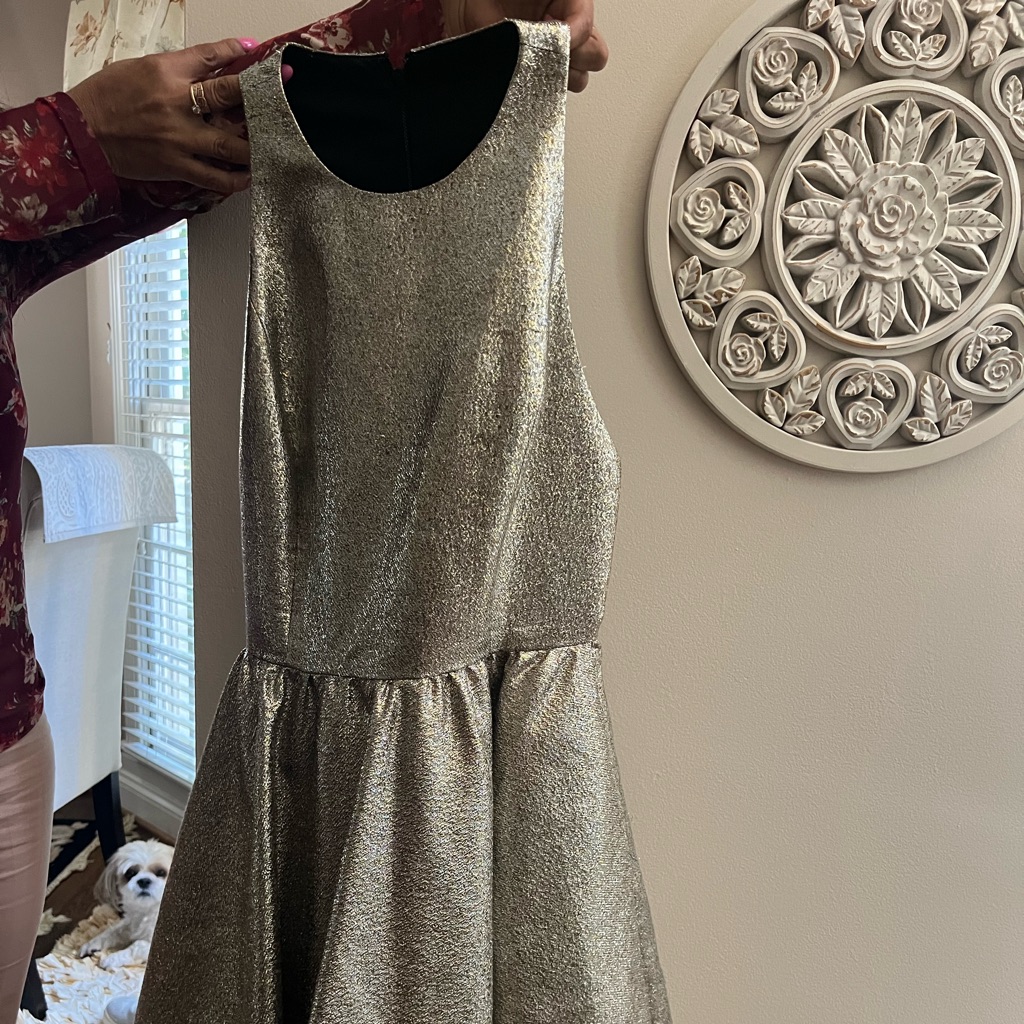 Alice + Olivia Sparkly Dress